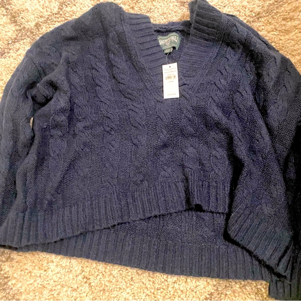 6 HOUR SALE NWT American Eagle soft and cozy hoodie sweater